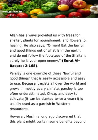 www.onislam.net
- 131 -
Allah has always provided us with trees for
shelter, plants for nourishment, and flowers for
healing. He also says, "O men! Eat the lawful
and good things out of what is in the earth,
and do not follow the footsteps of the Shaitan;
surely he is your open enemy." (Surat Al-
Baqara: 2:168).
Parsley is one example of these "lawful and
good things" that is easily accessible and easy
to use. Because it exists all over the world and
grows in mostly every climate, parsley is too
often underestimated. Cheap and easy to
cultivate (it can be planted twice a year) it is
usually used as a garnish in Western
restaurants.
However, Muslims long ago discovered that
this plant might contain some benefits beyond
 