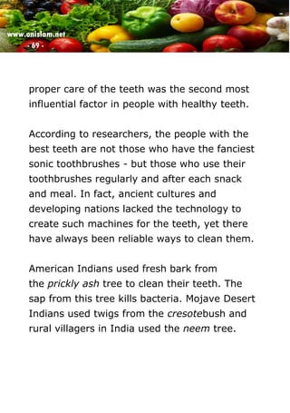 www.onislam.net
- 69 -
proper care of the teeth was the second most
influential factor in people with healthy teeth.
According to researchers, the people with the
best teeth are not those who have the fanciest
sonic toothbrushes - but those who use their
toothbrushes regularly and after each snack
and meal. In fact, ancient cultures and
developing nations lacked the technology to
create such machines for the teeth, yet there
have always been reliable ways to clean them.
American Indians used fresh bark from
the prickly ash tree to clean their teeth. The
sap from this tree kills bacteria. Mojave Desert
Indians used twigs from the cresotebush and
rural villagers in India used the neem tree.
 