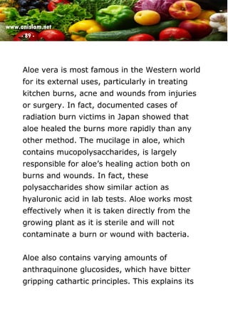 www.onislam.net
- 89 -
Aloe vera is most famous in the Western world
for its external uses, particularly in treating
kitchen burns, acne and wounds from injuries
or surgery. In fact, documented cases of
radiation burn victims in Japan showed that
aloe healed the burns more rapidly than any
other method. The mucilage in aloe, which
contains mucopolysaccharides, is largely
responsible for aloe's healing action both on
burns and wounds. In fact, these
polysaccharides show similar action as
hyaluronic acid in lab tests. Aloe works most
effectively when it is taken directly from the
growing plant as it is sterile and will not
contaminate a burn or wound with bacteria.
Aloe also contains varying amounts of
anthraquinone glucosides, which have bitter
gripping cathartic principles. This explains its
 