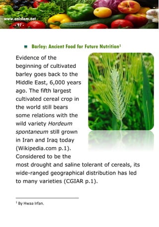 www.onislam.net
- 97 -
Barley: Ancient Food for Future Nutrition1
Evidence of the
beginning of cultivated
barley goes back to the
Middle East, 6,000 years
ago. The fifth largest
cultivated cereal crop in
the world still bears
some relations with the
wild variety Hordeum
spontaneum still grown
in Iran and Iraq today
(Wikipedia.com p.1).
Considered to be the
most drought and saline tolerant of cereals, its
wide-ranged geographical distribution has led
to many varieties (CGIAR p.1).
1
By Hwaa Irfan.
 