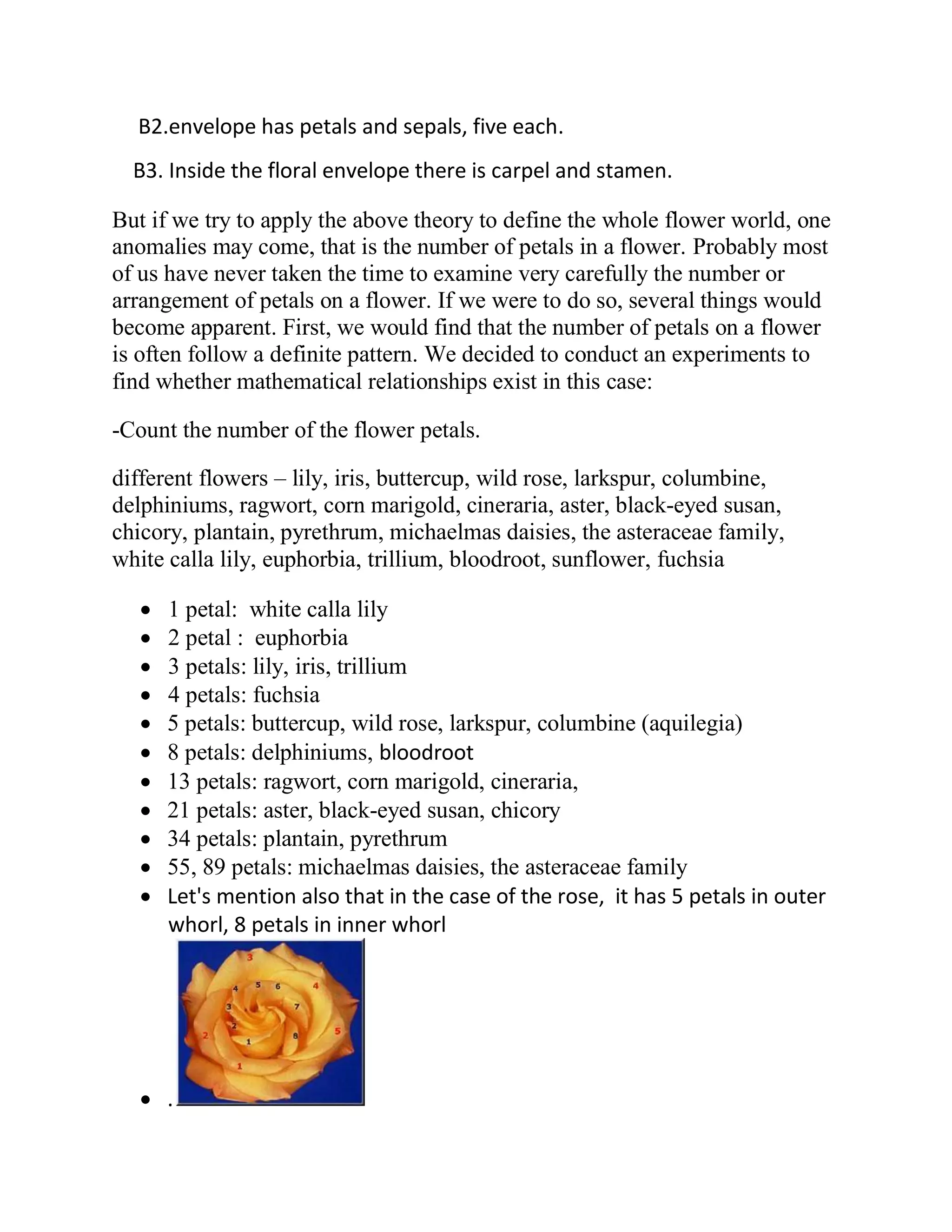 B2.envelope has petals and sepals, five each. 
B3. Inside the floral envelope there is carpel and stamen. 
But if we try to apply the above theory to define the whole flower world, one anomalies may come, that is the number of petals in a flower. Probably most of us have never taken the time to examine very carefully the number or arrangement of petals on a flower. If we were to do so, several things would become apparent. First, we would find that the number of petals on a flower is often follow a definite pattern. We decided to conduct an experiments to find whether mathematical relationships exist in this case: 
-Count the number of the flower petals. 
different flowers – lily, iris, buttercup, wild rose, larkspur, columbine, delphiniums, ragwort, corn marigold, cineraria, aster, black-eyed susan, chicory, plantain, pyrethrum, michaelmas daisies, the asteraceae family, white calla lily, euphorbia, trillium, bloodroot, sunflower, fuchsia 
 1 petal: white calla lily 
 2 petal : euphorbia 
 3 petals: lily, iris, trillium 
 4 petals: fuchsia 
 5 petals: buttercup, wild rose, larkspur, columbine (aquilegia) 
 8 petals: delphiniums, bloodroot 
 13 petals: ragwort, corn marigold, cineraria, 
 21 petals: aster, black-eyed susan, chicory 
 34 petals: plantain, pyrethrum 
 55, 89 petals: michaelmas daisies, the asteraceae family 
 Let's mention also that in the case of the rose, it has 5 petals in outer whorl, 8 petals in inner whorl 
 .  
