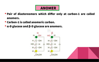 ANOMER
 Pair of diastereomers which differ only at carbon-1 are called
anomers.
 Carbon-1 is called anomeric carbon.
 α-D glucose and β-D glucose are anomers.
 