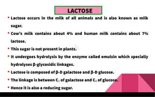 LACTOSE
 Lactose occurs in the milk of all animals and is also known as milk
sugar.
 Cow’s milk contains about 4% and human milk contains about 7%
lactose.
 This sugar is not present in plants.
 It undergoes hydrolysis by the enzyme called emulsin which specially
hydrolyses β-glycosidic linkages.
 Lactose is composed of β-D galactose and β-D glucose.
 The linkage is between C1 of galactose and C4 of glucose.
 Hence it is also a reducing sugar.
 