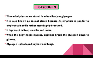 GLYCOGEN
 The carbohydrates are stored in animal body as glycogen.
 It is also known as animal starch because its structure is similar to
amylopectin and is rather more highly branched.
 It is present in liver, muscles and brain.
 When the body needs glucose, enzymes break the glycogen down to
glucose.
 Glycogen is also found in yeast and fungi.
 