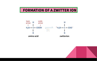 FORMATION OF A ZWITTER ION
 