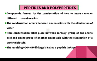 PEPTIDES AND POLYPEPTIDES
Compounds formed by the condensation of two or more same or
different α-amino acids.
The condensation occurs between amino acids with the elimination of
water.
Here condensation takes place between carboxyl group of one amino
acid and amino group of another amino acid with the elimination of a
water molecule.
The resulting −CO−NH− linkage is called a peptide linkage.
 