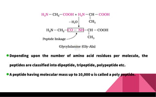 Depending upon the number of amino acid residues per molecule, the
peptides are classified into dipeptide, tripeptide, polypeptide etc.
A peptide having molecular mass up to 10,000 u is called a poly peptide.
 