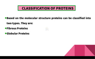 CLASSIFICATION OF PROTEINS
Based on the molecular structure proteins can be classified into
two types. They are:
Fibrous Proteins
Globular Proteins
 