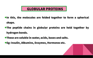 GLOBULAR PROTEINS
In this, the molecules are folded together to form a spherical
shape.
The peptide chains in globular proteins are held together by
hydrogen bonds.
These are soluble in water, acids, bases and salts.
Eg: Insulin, Albumins, Enzymes, Hormones etc.
 