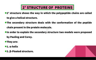 2° STRUCTURE OF PROTEINS
2° structure shows the way in which the polypeptide chains are coiled
to give a helical structure.
The secondary structure deals with the conformation of the peptide
chain present in the protein molecule.
In order to explain the secondary structure two models were proposed
by Pauling and Corey.
They are:
1. α-helix
2. β-Pleated structure.
 