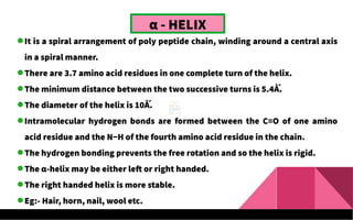 α - HELIX
It is a spiral arrangement of poly peptide chain, winding around a central axis
in a spiral manner.
There are 3.7 amino acid residues in one complete turn of the helix.
The minimum distance between the two successive turns is 5.4Ǻ.
The diameter of the helix is 10Ǻ.
Intramolecular hydrogen bonds are formed between the C=O of one amino
acid residue and the N−H of the fourth amino acid residue in the chain.
The hydrogen bonding prevents the free rotation and so the helix is rigid.
The α-helix may be either left or right handed.
The right handed helix is more stable.
Eg:- Hair, horn, nail, wool etc.
 