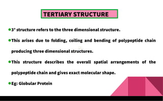 TERTIARY STRUCTURE
3° structure refers to the three dimensional structure.
This arises due to folding, coiling and bending of polypeptide chain
producing three dimensional structures.
This structure describes the overall spatial arrangements of the
polypeptide chain and gives exact molecular shape.
Eg: Globular Protein
 