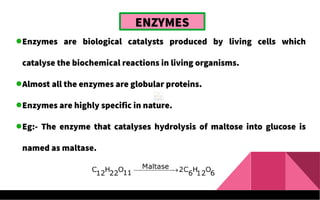 ENZYMES
Enzymes are biological catalysts produced by living cells which
catalyse the biochemical reactions in living organisms.
Almost all the enzymes are globular proteins.
Enzymes are highly specific in nature.
Eg:- The enzyme that catalyses hydrolysis of maltose into glucose is
named as maltase.
 