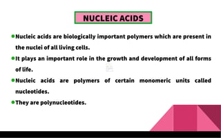 NUCLEIC ACIDS
Nucleic acids are biologically important polymers which are present in
the nuclei of all living cells.
It plays an important role in the growth and development of all forms
of life.
Nucleic acids are polymers of certain monomeric units called
nucleotides.
They are polynucleotides.
 