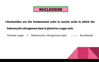 NUCLEOSIDE
Nucleosides are the fundamental units in nucleic acids in which the
heterocyclic nitrogenous base is joined to a sugar unit.
 
