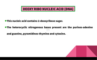 DEOXY RIBO NUCLEIC ACID (DNA)
This nucleic acid contains 2-deoxyribose sugar.
The heterocyclic nitrogenous bases present are the purines-adenine
and guanine, pyramidines-thymine and cytosine.
 