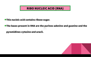 RIBO NUCLEIC ACID (RNA)
This nucleic acid contains ribose sugar.
The bases present in RNA are the purines-adenine and guanine and the
pyramidines-cytosine and uracil.
 