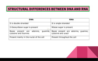 STRUCTURAL DIFFERENCES BETWEEN DNA AND RNA
 
