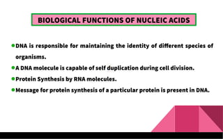 BIOLOGICAL FUNCTIONS OF NUCLEIC ACIDS
DNA is responsible for maintaining the identity of different species of
organisms.
A DNA molecule is capable of self duplication during cell division.
Protein Synthesis by RNA molecules.
Message for protein synthesis of a particular protein is present in DNA.
 