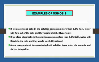 EXAMPLES OF OSMOSIS
If we place blood cells in the solution containing more than 0.9% Nacl, water
will flow out of the cells and they would shrink. (Hypertonic)
If we place blood cells in the solution containing less than 0.9% NaCl, water will
flow into the cells and they would swell. (Hypotonic)
A raw mango placed in concentrated salt solution loses water via osmosis and
shrivel into pickle.
 