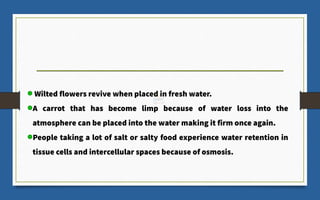 Wilted flowers revive when placed in fresh water.
A carrot that has become limp because of water loss into the
atmosphere can be placed into the water making it firm once again.
People taking a lot of salt or salty food experience water retention in
tissue cells and intercellular spaces because of osmosis.
 