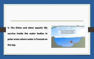 4. The fishes and other aquatic life
survive inside the water bodies in
polar areas where water is freezed on
the top.
 