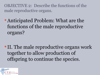 OBJECTIVE 2: Describe the functions of the
male reproductive organs.
Anticipated Problem: What are the
functions of the male reproductive
organs?
II. The male reproductive organs work
together to allow production of
offspring to continue the species.
 