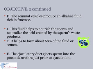 OBJECTIVE 2 continued
 D. The seminal vesicles produce an alkaline fluid
rich in fructose.
 1. This fluid helps to nourish the sperm and
neutralize the acid created by the sperm’s waste
products.
 2. It helps to form about 60% of the fluid or
semen.
 E. The ejaculatory duct ejects sperm into the
prostatic urethra just prior to ejaculation.
 