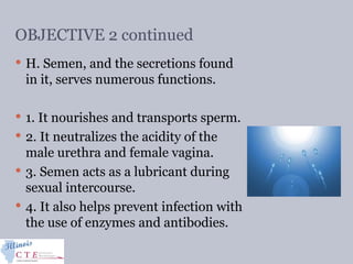 OBJECTIVE 2 continued
 H. Semen, and the secretions found
in it, serves numerous functions.
 1. It nourishes and transports sperm.
 2. It neutralizes the acidity of the
male urethra and female vagina.
 3. Semen acts as a lubricant during
sexual intercourse.
 4. It also helps prevent infection with
the use of enzymes and antibodies.
 