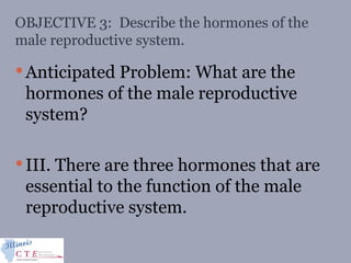 OBJECTIVE 3: Describe the hormones of the
male reproductive system.
Anticipated Problem: What are the
hormones of the male reproductive
system?
III. There are three hormones that are
essential to the function of the male
reproductive system.
 