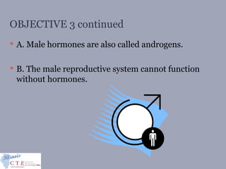 OBJECTIVE 3 continued
 A. Male hormones are also called androgens.
 B. The male reproductive system cannot function
without hormones.
 