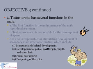 OBJECTIVE 3 continued
 4. Testosterone has several functions in the
male:
 a. The first function is the maintenance of the male
reproductive system.
 b. Testosterone also is responsible for the development
of sperm.
 c. It also is responsible for stimulating development of
secondary male sex characteristics, which include:
 (1) Muscular and skeletal development
 (2) Development of pubic, axillary (armpit),
 and chest hair
 (3) Facial hair growth
 (4) Deepening of the voice
 