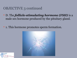 OBJECTIVE 3 continued
 D. The follicle-stimulating hormone (FSH) is a
male sex hormone produced by the pituitary gland.
 1. This hormone promotes sperm formation.
 