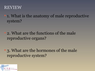 REVIEW
 1. What is the anatomy of male reproductive
system?
 2. What are the functions of the male
reproductive organs?
 3. What are the hormones of the male
reproductive system?
 
