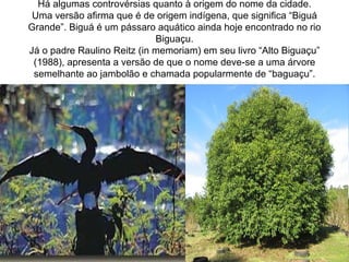 Há algumas controvérsias quanto à origem do nome da cidade.
 Uma versão afirma que é de origem indígena, que significa “Biguá
Grande”. Biguá é um pássaro aquático ainda hoje encontrado no rio
                             Biguaçu.
Já o padre Raulino Reitz (in memoriam) em seu livro “Alto Biguaçu”
 (1988), apresenta a versão de que o nome deve-se a uma árvore
 semelhante ao jambolão e chamada popularmente de “baguaçu”.
 