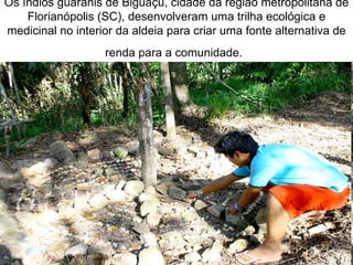 Os índios guaranis de Biguaçu, cidade da região metropolitana de
    Florianópolis (SC), desenvolveram uma trilha ecológica e
medicinal no interior da aldeia para criar uma fonte alternativa de
                   renda para a comunidade.
 