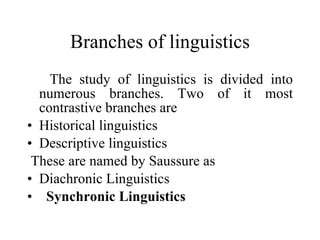 Branches of linguistics The study of linguistics is divided into numerous branches. Two of it most contrastive branches are   Historical linguistics Descriptive linguistics  These are named by Saussure as  Diachronic Linguistics Synchronic Linguistics   