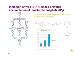 Small molecule inhibitors of PI4 Kinase | PDF