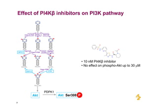 Small molecule inhibitors of PI4 Kinase | PDF