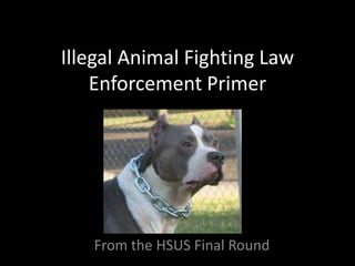 Illegal Animal Fighting Law
    Enforcement Primer




   From the HSUS Final Round
 