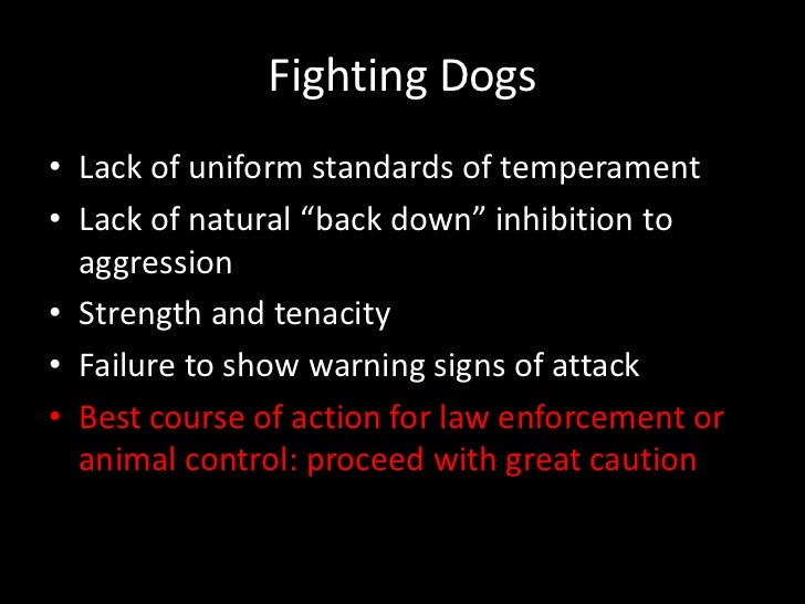 Suppression Training For Aggressive Dogs Suppression Training For Aggressive Dogs
