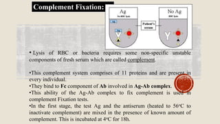 Complement Fixation Rbc HERPES SIMPLEX VIRUS | PPTX