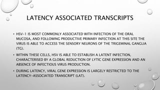 HSV keratitis | PPTX