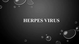 HERPES VIRUS
 