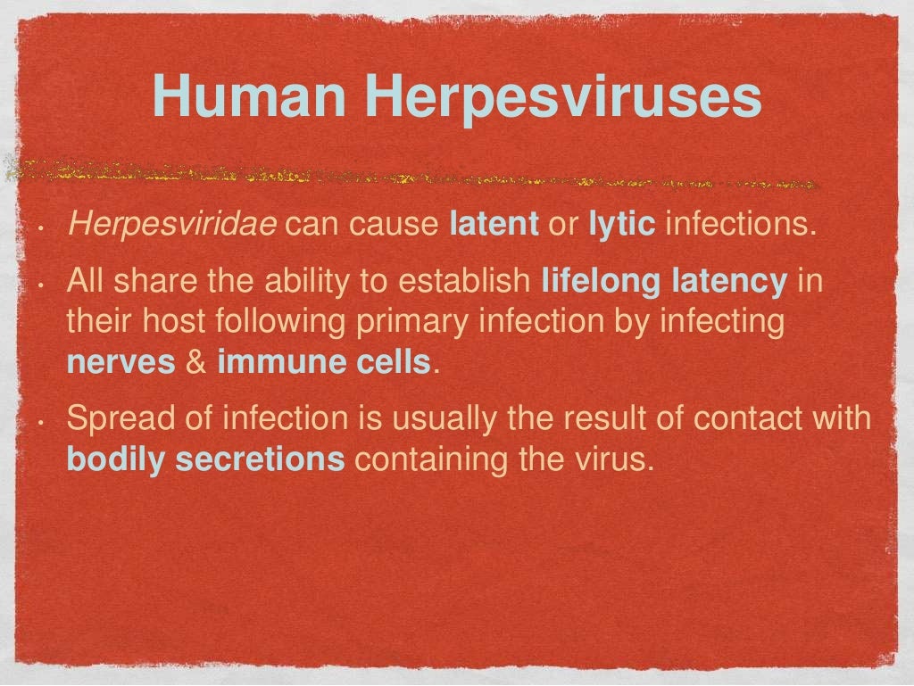 PPT - Herpesviridae PowerPoint Presentation, free download - ID:1902831