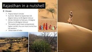 • Tropical desert climate
• Summer- March to September (35
degree Celsius to 40 degree Celsius)
• Winter-October to February (4 degree
Celsius to 28 degree Celsius)
• The eastern parts have comparatively
higher rainfall, thus are more humid than
the western.
• Driest state of India
 Climate:
Rajasthan in a nutshell
 