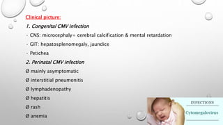 Clinical picture: 
1. Congenital CMV infection 
· CNS: microcephaly+ cerebral calcification & mental retardation 
· GIT: hepatosplenomegaly, jaundice 
· Petichea 
2. Perinatal CMV infection 
Ø mainly asymptomatic 
Ø interstitial pneumonitis 
Ø lymphadenopathy 
Ø hepatitis 
Ø rash 
Ø anemia 
 