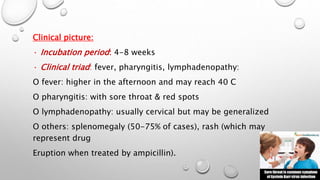 Clinical picture: 
· Incubation period: 4-8 weeks 
· Clinical triad: fever, pharyngitis, lymphadenopathy: 
O fever: higher in the afternoon and may reach 40 C 
O pharyngitis: with sore throat & red spots 
O lymphadenopathy: usually cervical but may be generalized 
O others: splenomegaly (50-75% of cases), rash (which may 
represent drug 
Eruption when treated by ampicillin). 
 