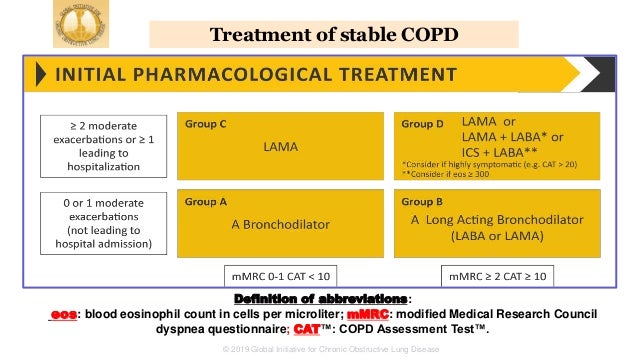global initiative for chronic obstructive lung disease copd gold guidelines