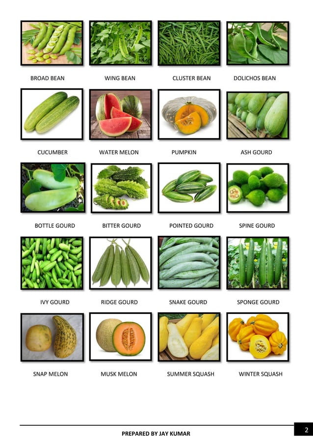 vegetables-images-pdf